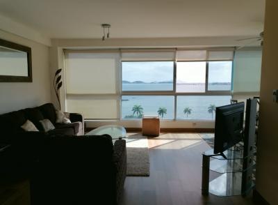 Alquiler de apartamento en bayfront tower 1 recamara. alquiler de apartamento en bayfront tower 1 ha