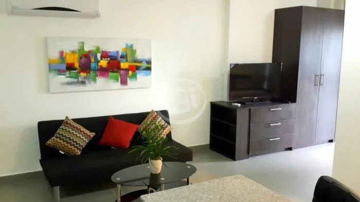 Colores de bella vista 1 habitacion en alquiler — 4
