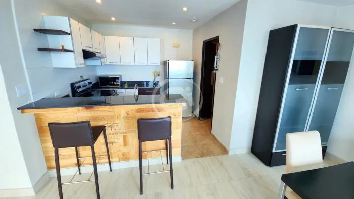 Apartamento en Bayfront Avenida Balboa en alquiler — 5