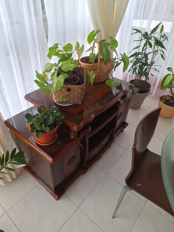 Apartamento en alquiler en Ph coral reef de 1 habitacion