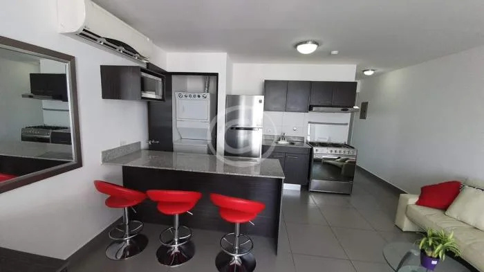Colores de bella vista Cinta costera 0 habitaciones — 2