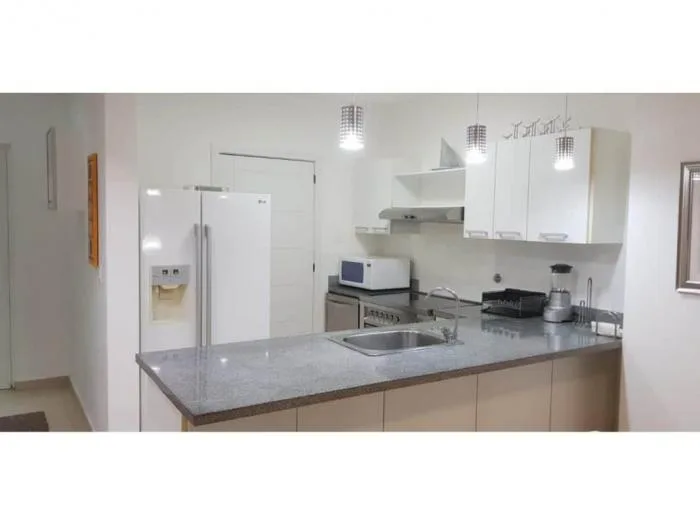 Apartamento en Waters on the bay Avenida Balboa en alquiler — 4