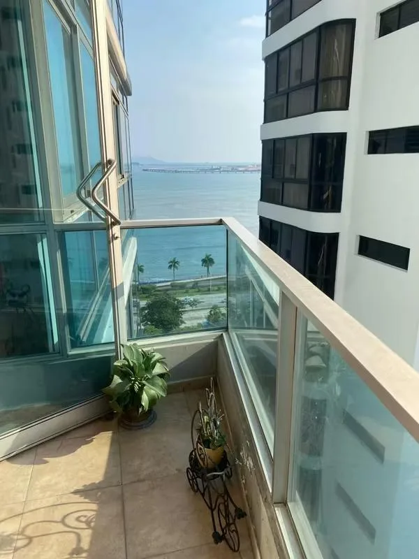 Alquiler de apartamento en Bayfront tower 1 habitacion