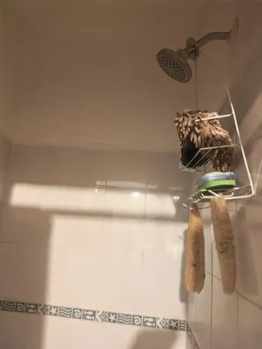 Apartamento 2 quartos na Grand Bay Tower, Avenida Balboa — 2