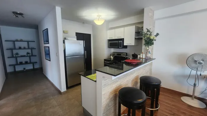 P.h. bayfront tower - avenida balboa - apartamento full amoblado — 4