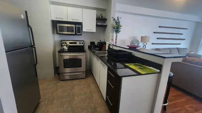 P.h. bayfront tower - avenida balboa - apartamento full amoblado — 5