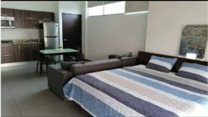 Appartement meublé 1 chambre à Colores de Bella Vista — 5