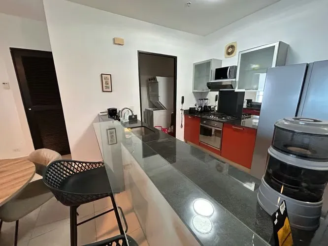 Appartamento arredato con 1 camera da letto in Avenida Balboa — 4