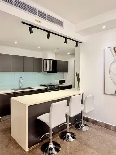 2-Zimmer-Wohnung im Gebäude Yoo Panamá, Avenida Balboa — 3
