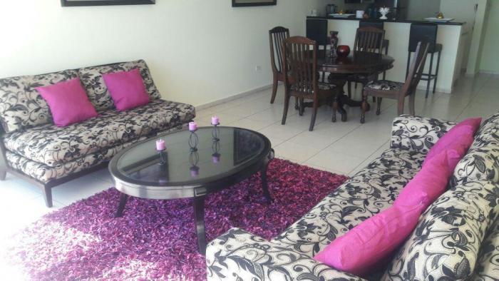 Alquilo apartamento en la avenida balboa de 110mts ais. 