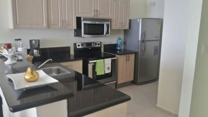 Alquilo apartamento en la avenida balboa de 110mts ais.  — 5