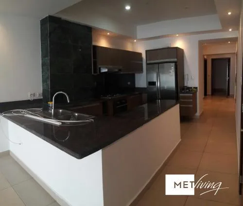Alquilo apartamento ave balboa rivage 2 recamaras - id 6456 — 2