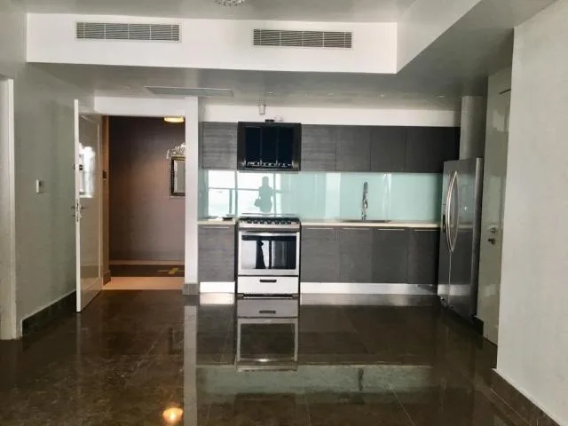Alquilo apartamento exclusivo en ph yoo, avenida balboa — 3