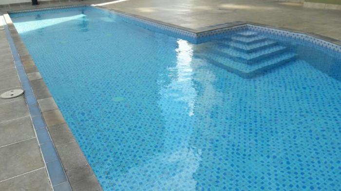 Alquilo apartamento amoblado en ph marina terrace, bellavista