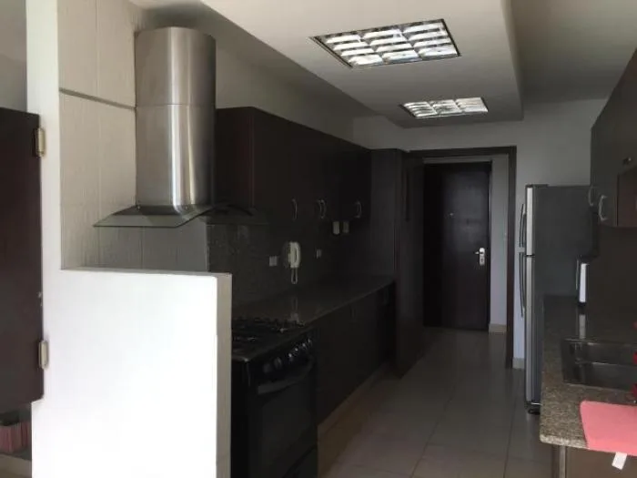 Alquilo apartamento amoblado en ph st. giorgio, las lomas — 2