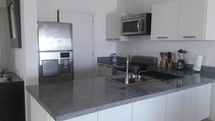 18-563 af lindo apartamento amoblado en avenida balboa se vende — 4