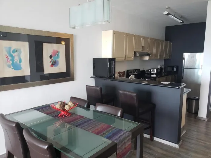 19-7268 af fantástico apartamento amoblado en avenida balboa — 4