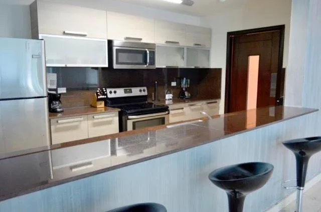 20-265 af apartamento amoblado en venta en avenida balboa — 4