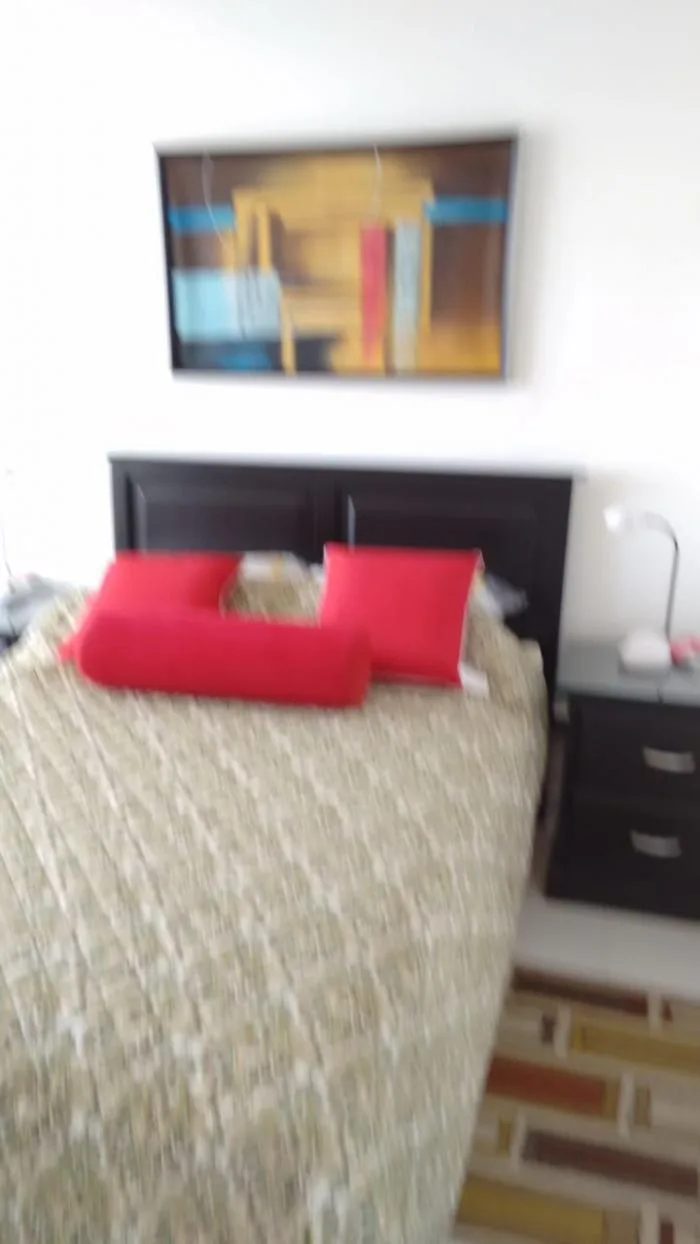 Alquiler apartamento amoblado en paitilla — 4