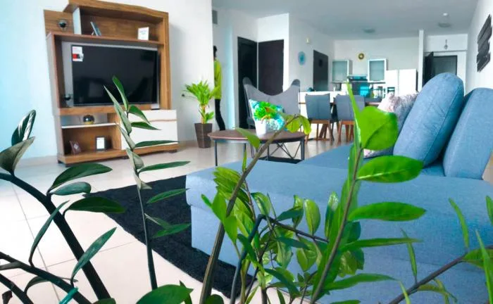 Alquiler apartamento de 1 recamara - amoblado — 4