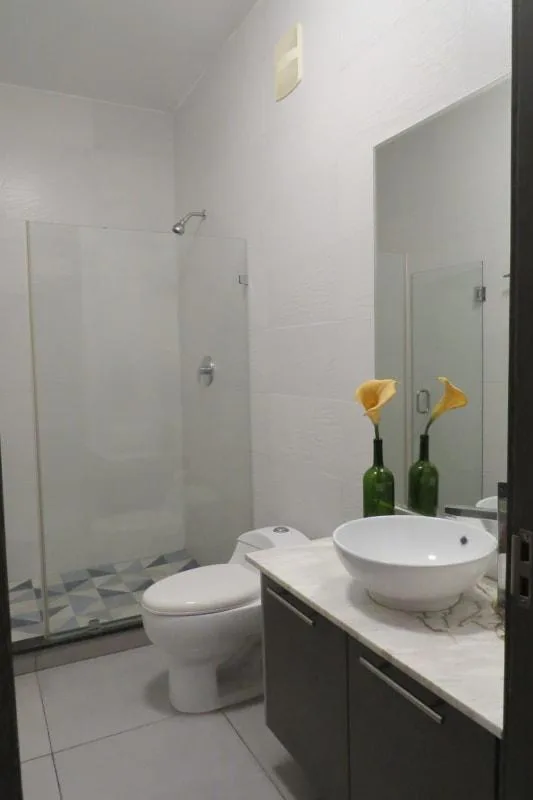 Vendo/alquilo apartamento amoblado en avenida balboa- 2 recamaras — 3