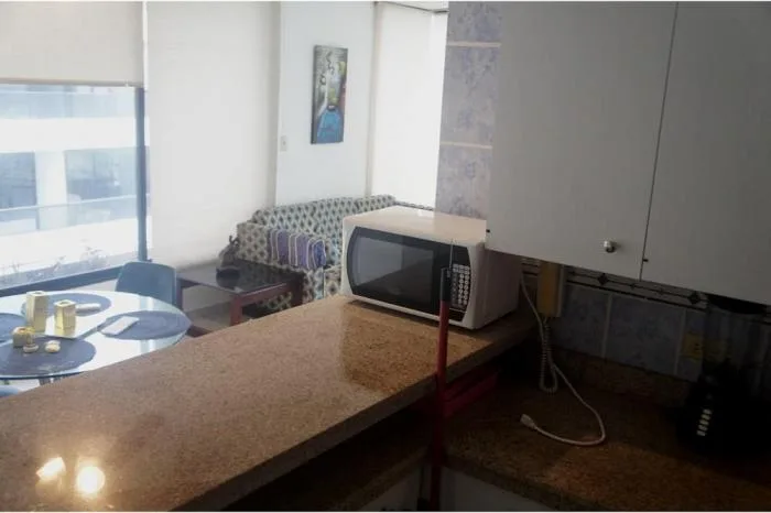 Alquiler de apartamento amoblado en ph la gaviota, avenida balboa — 4