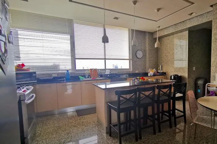 Alquiler de penthouse amoblado allure at the park, avenida balboa — 2
