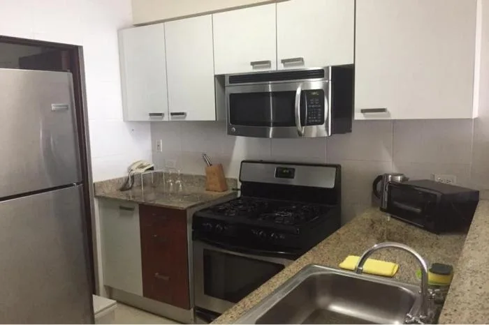 Alquiler de apartamento amoblado en avenida balboa — 4