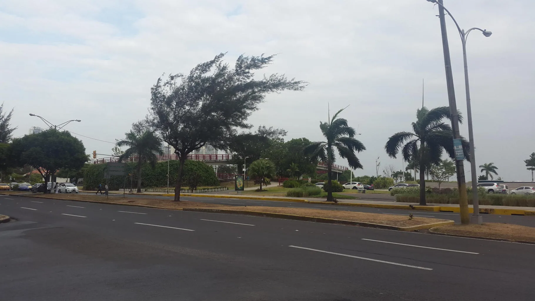 Espectacular local comercial de 225m2 en avenida balboa — 2