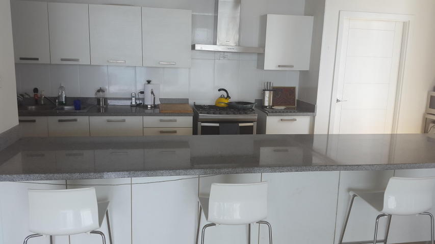 Wonderful and spacious furnished apartment in av. balboa