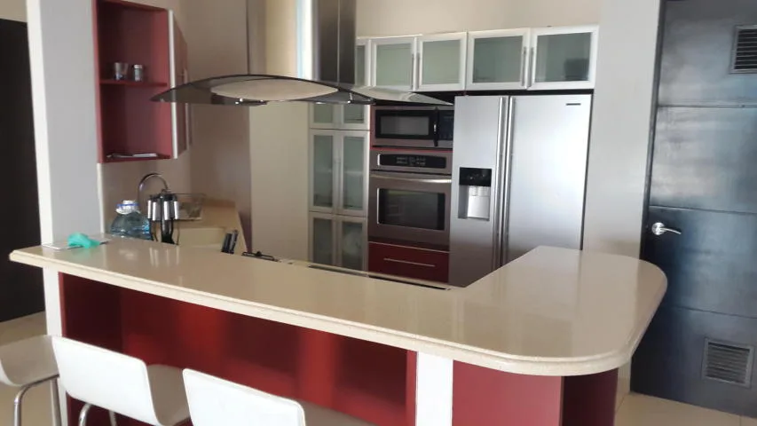 Espectacular apartamento amoblado frente al mar av. balboa — 4