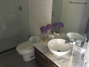 I rent beautiful apartment fully furnished in avenida balboa