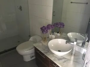 Alquilo hermoso apartamento totalmente amoblado en avenida balboa — 5