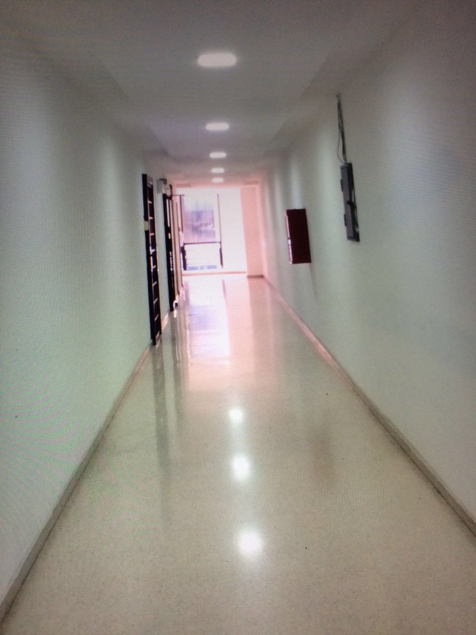 Looking to rent the office