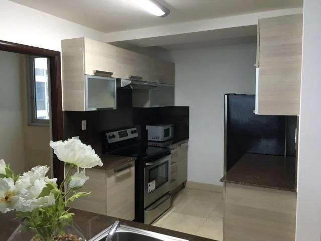 Avenida balboa lindo apartamento totalmente amoblado 2 recamaras — 3