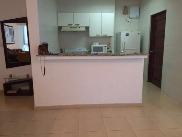 Apartamento amoblado y centrico en avenida balboa  lch — 3