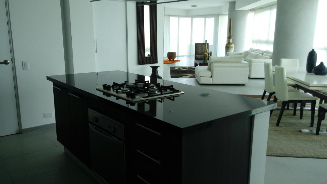 Elegante apartamento amoblado en la avenida balboa. lr 16-3310.
