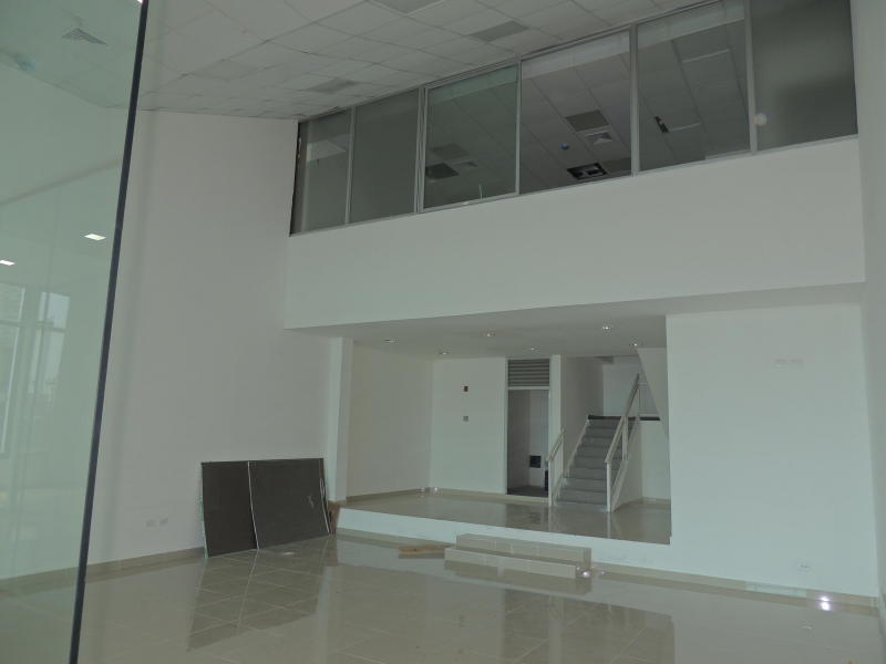 Local comercial en alquiler en panama av balboa, tlf  rtq