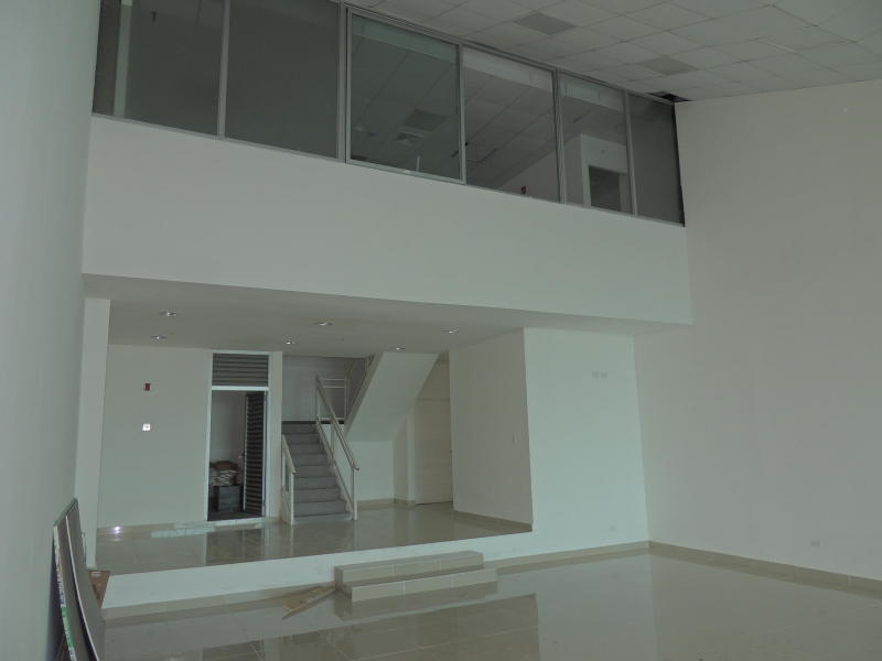 Local comercial en alquiler en panama av balboa, tlf  rtq