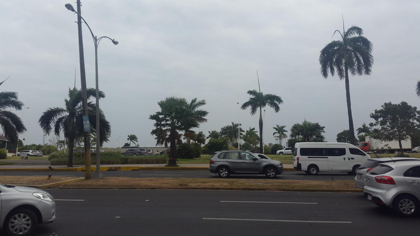 Se alquila local comercial en panamÃ¡, av balboa tlf .rtq