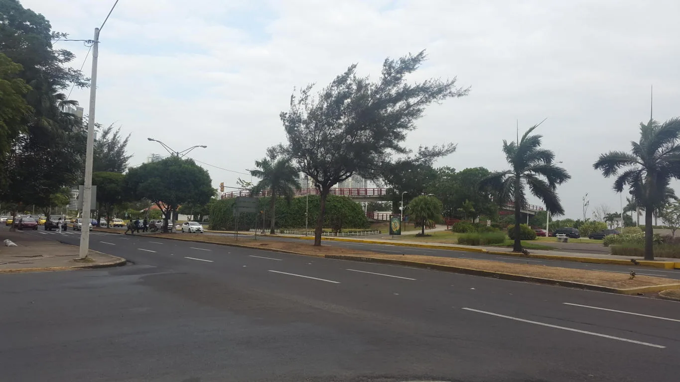 Se alquila local comercial en panamÃ¡, av balboa tlf .rtq — 5
