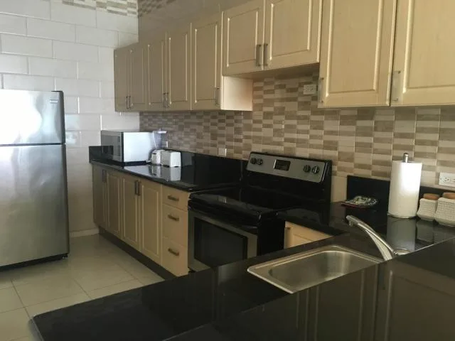 Espectacular apartamento amoblado en avenida balboa. lr 16-3605. — 2