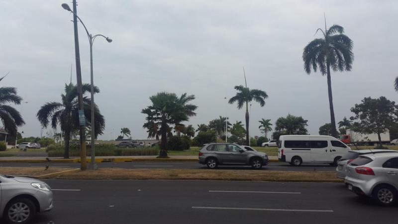 commercial space for rent 225m2 in panama, avenida balboa .rtq