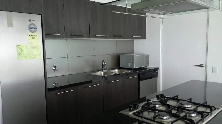 Elegante apartamento en avenida balboa   vl  16-3310 — 2
