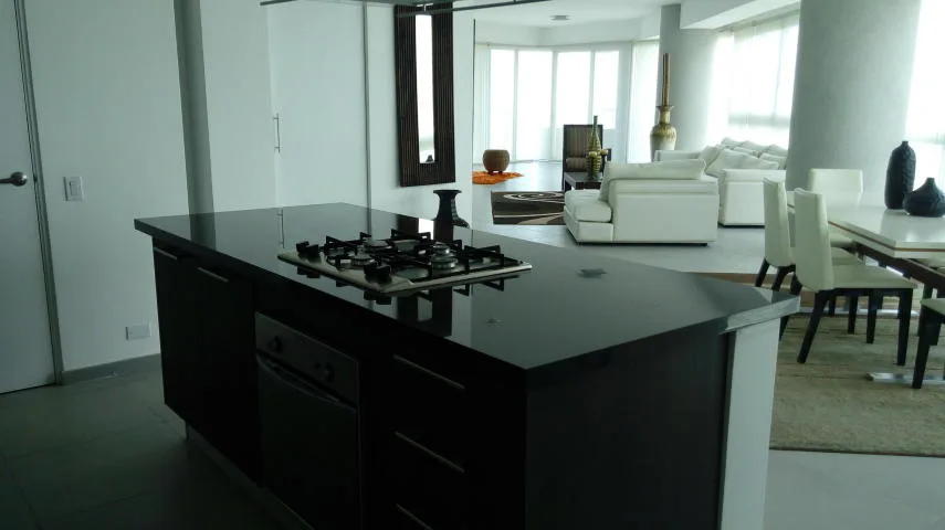 Elegante apartamento en avenida balboa   vl  16-3310 — 3