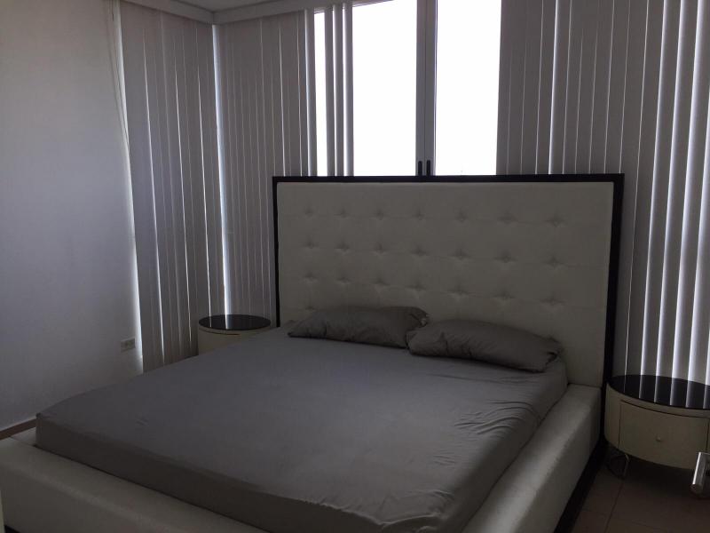 Furnished apartments for sale in avenida balboa 15-2551 real estate tel 