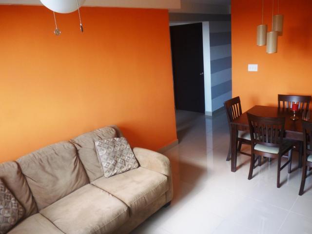Alquiler de apartamento en parque lefevre 
