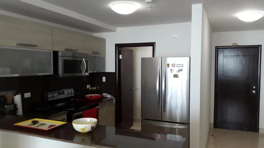 Bellisimo apartamento en avenida balboa vl 16-5228 (667.63711) — 5