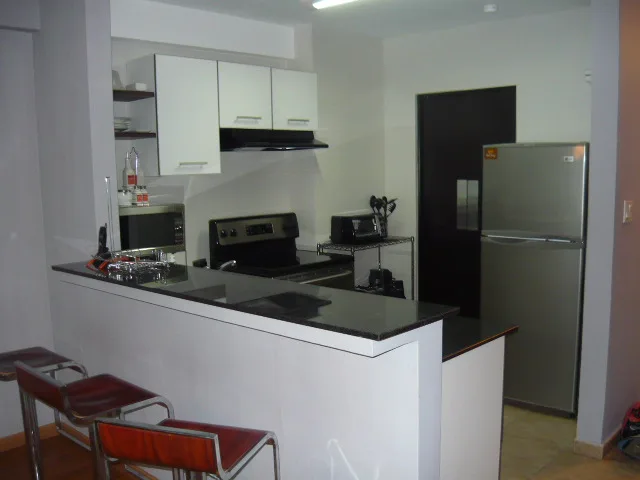 Alquilo grandbay amoblado — 3