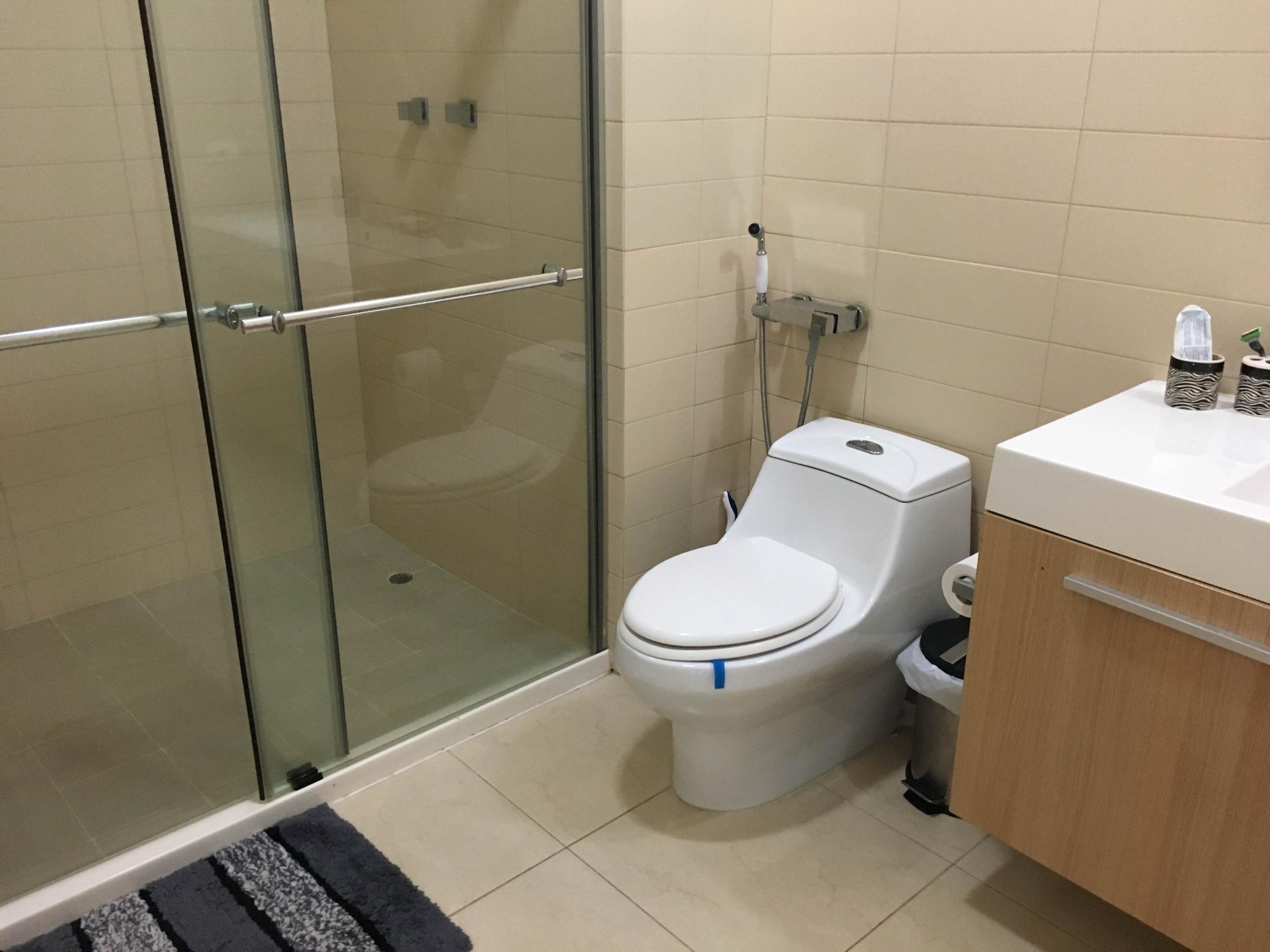I am selling a spectacular furnished apartment, avenida balboa, cp164964